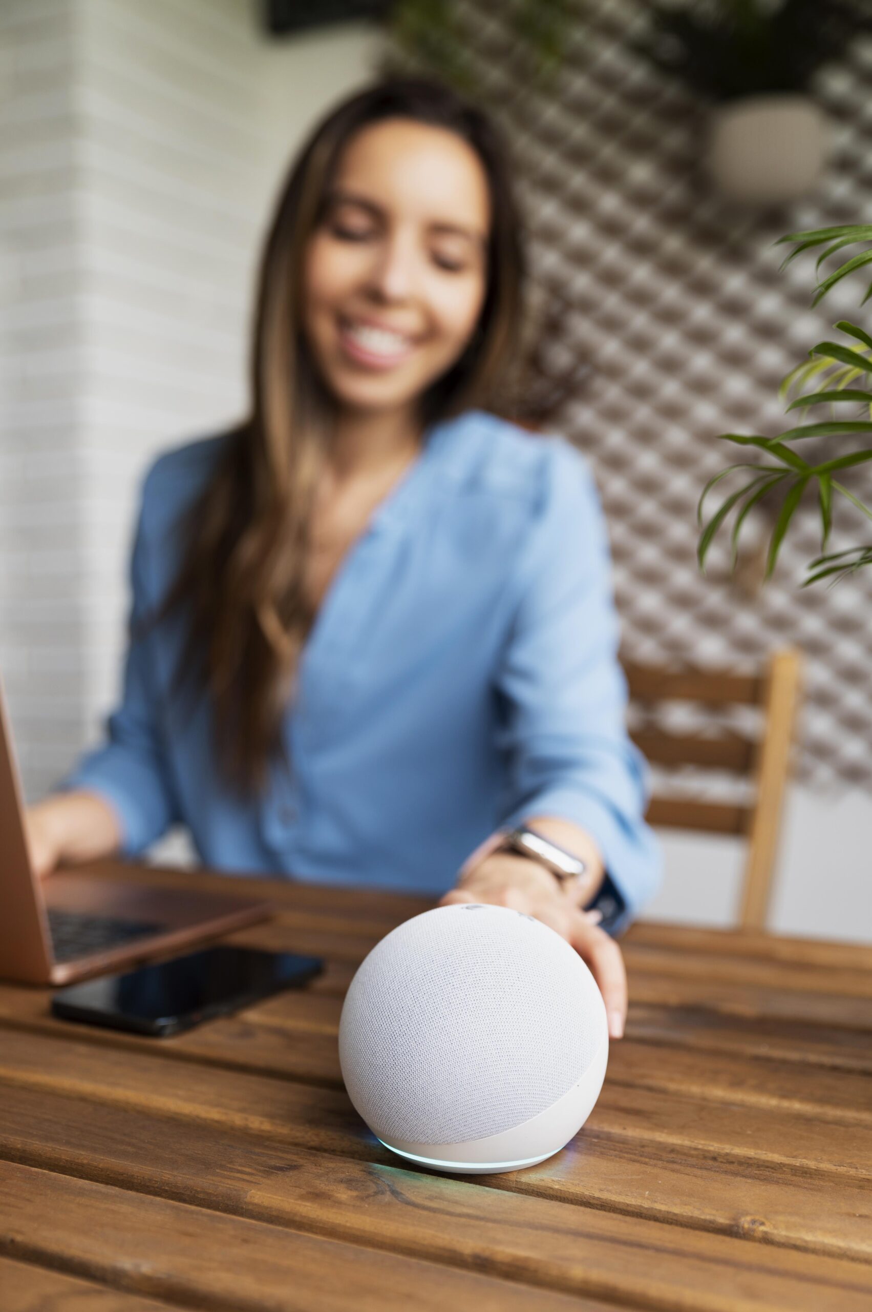 Voice Search Shopping